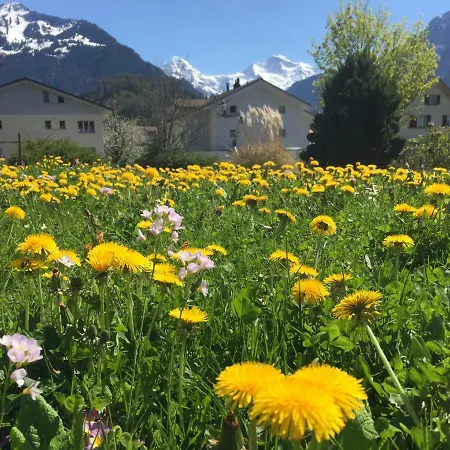 Apartment Bahnhofstrasse 2 Interlaken